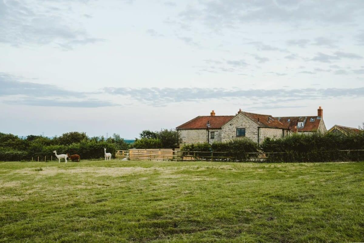 The Cottage- Hopewell Hébergement de vacances Bristol